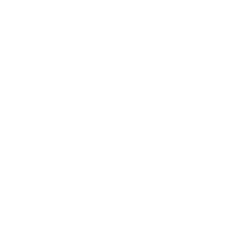 Pengerjaan profesional